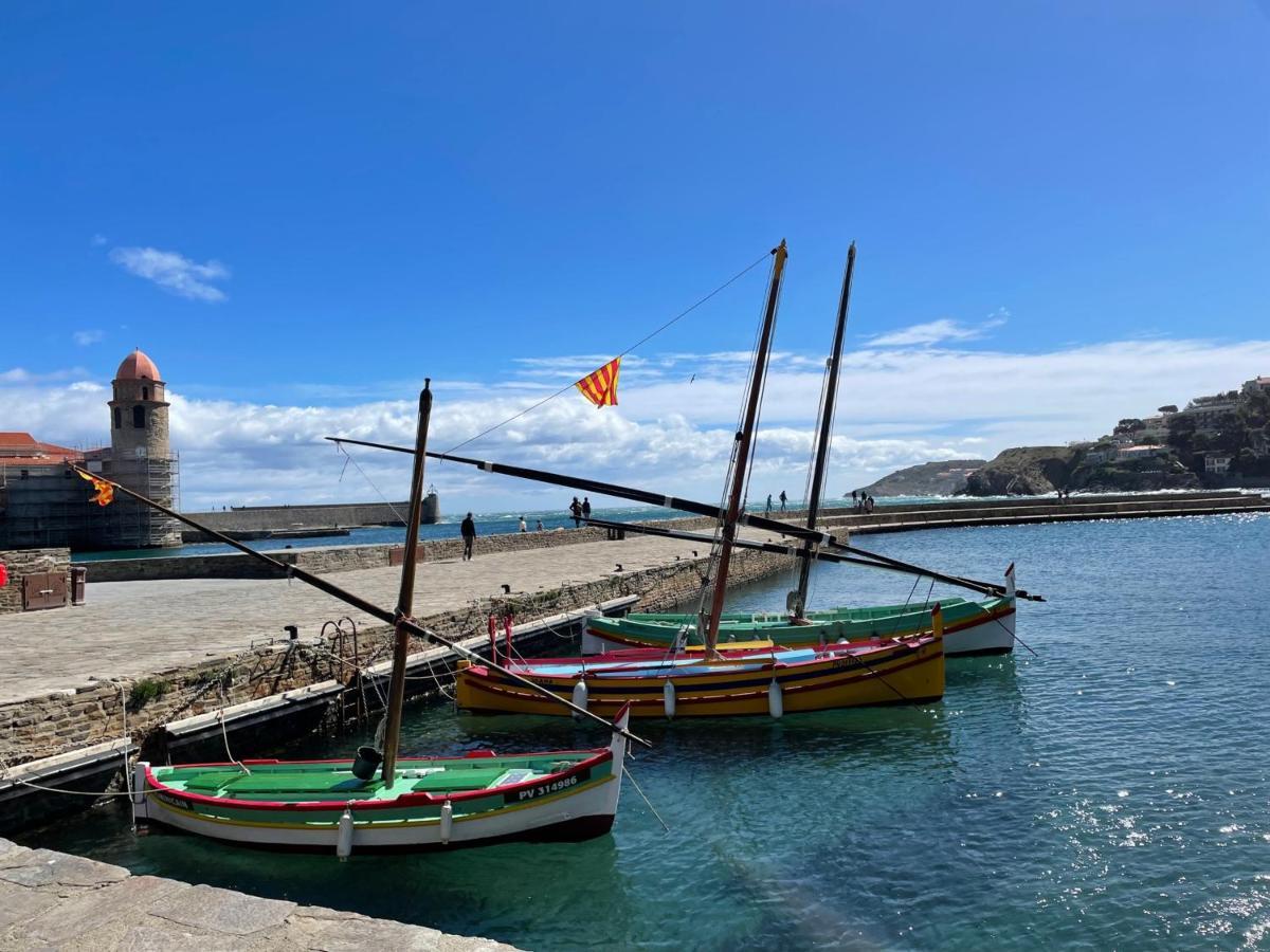 Collioure: Superbe T3 Avec Terrasse, Face A La Et Parking - Fr-1-309-376 * Collioure