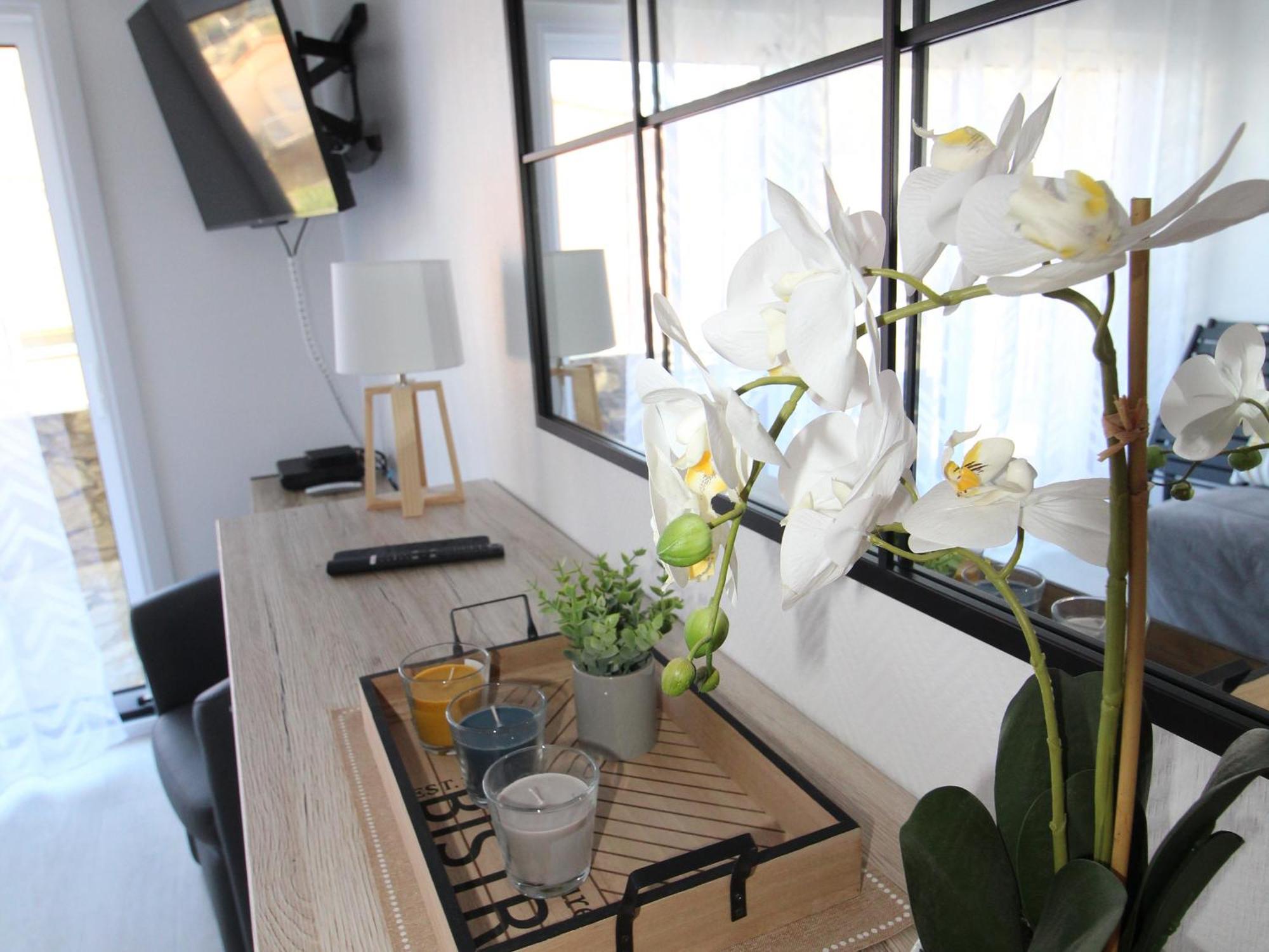 Appartement Collioure: Superbe T3 Avec Terrasse, Face A La Et Parking - Fr-1-309-376 Collioure